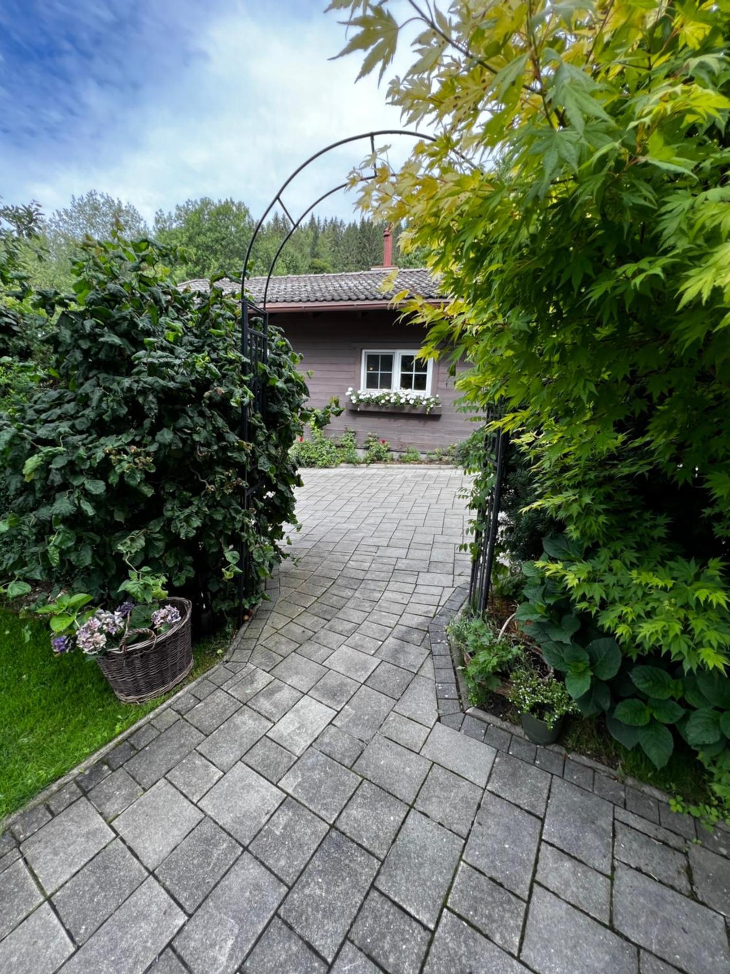 Tini House Villa Wagrain Ngoại thất bức ảnh